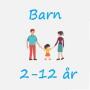 icon Barnas Plattform(Het kinderplatform)