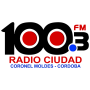 icon RADIO CIUDAD DE CORONEL MOLDES FM 100.3 (RADIO CIUDAD DE CORONEL MOLDES FM 100.3
)