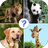 icon Animals Quiz(Raad het dier: Dierenquiz Voertuigexpert) 2.0.1