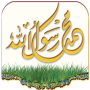 icon السيرة النبوية (Biografie van de profeet)