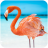 icon The Flamingo(The Flamingo
) 1.1.1