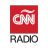 icon AM 950(CNN Radio Argentinië
) 1.1.1