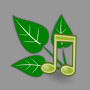 icon Nature Sound(Natuurgeluiden Ontspannen en slapen)