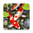 icon Koi Fish HD Wallpaper(Koi Vissen Live Wallpaper) 1.0