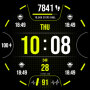 icon Health Watch Face 044 (Kijk Face 044)