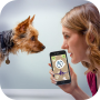 icon Dog Language Translator(Dog Language Translator Simulator - Praat met Pet
)