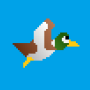 icon DuckShoot!(Duck Shoot!)