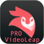 icon Android VideoLeap Editor PRO Guide (Android VideoLeap Editor PRO-gids
)