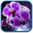 icon Orchids Live Wallpaper(Orchideeën Live Wallpaper) 1.0.6