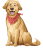 icon Dog & Puppy Training(Honden- en
) 10.0