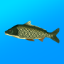 icon com.andromeda.truefishing(echt vissen. Simulator)