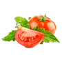 icon tj.agroinform.tomato(Tomato: from 