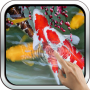 icon Interactive Koi Fish Live Wallpaper(Interactieve Koi Fish 3D)