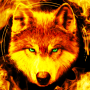 icon Fire Wallpaper and KeyboardLone Wolf(Fire Wallpaper en toetsenbord - Lone Wolf
)