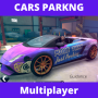 icon Car Parking Guidance(Auto Multiplayer Parkeergids
)