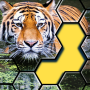 icon Jigsaw Hexa Puzzle (Jigsaw Hexa Puzzel)