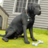 icon Dog Sim MC(Dog Sim Pet Simulator Dog Life) 1.1.6