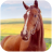 icon Horse Home 1.2.1