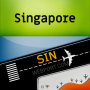 icon Singapore-SIN Airport(Singapore Changi (SIN) Info)