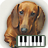 icon Piano of dogs(Piano van honden) 1.0.3