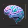 icon Biology E Theories(BIOLOGIE E THEORIES)