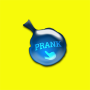 icon Prank App(Whoopee kussen prank klinkt)