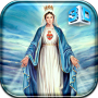 icon Virgin Mary Live Wallpaper(Maagd Maria Live Wallpaper)