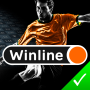 icon ort.vinni.vi(ΒИΗЛΑЙΗ stappen app voor Винлайн
)