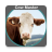 icon Cow Master(Cow Master - Herd Management) 2.8.6