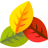 icon Leaf Video Editor(Leaf Video-editor
) 1.27