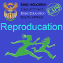 icon Reproduction In Humans and Vertebrates(Grade 12-reproductie | Life Science
)