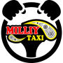 icon Milliy taxi(Nationale taxichauffeur)