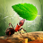 icon Little Ant Colony(Little Ant Colony - Idle Game
) 3.4.4