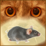 icon Mouse on screen for cat(Muis op het scherm voor een kat)