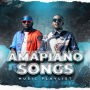icon Amapiano All Songs (Amapiano Alle liedjes
)