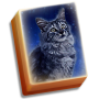 icon Cat Tailz(Hidden Mahjong Cat Tails: Free)