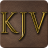 icon KJV Bible(KJV Audio Bijbel) 47