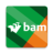 icon BAM Infra Projecten v1.3.1