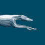 icon Greyhound(Greyhound: Koop bustickets)