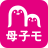 icon 2.6.3