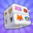 icon CubeMaster3D(Cube Master 3D
) 1.3