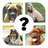 icon QUIZ: Razas de perro(ALLE QUIZ: Razas de perro
) 8.4.4z