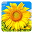 icon Golden Sunflower Live Wallpaper(Gouden zonnebloem LWP) 3.1