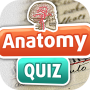 icon Anatomy Quiz(Anatomy Trivia-quiz)